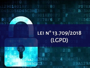 Visão Positiva da Lei Geral de Proteção de Dados (Lei n° 13.709/2018)
